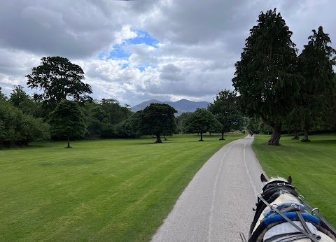 Killarney Jaunting Cars - Tangney Tours