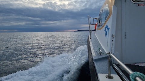 Aran Sea Tours and Fishing