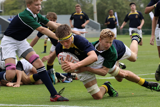 Queensland Institute of Sport