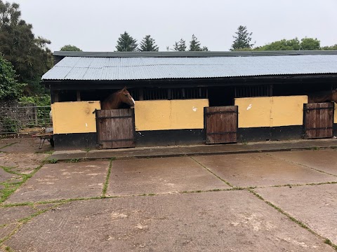 Burnham Horse Riding Centre Dingle