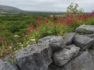 Car Park Poulnabrone Dolmen