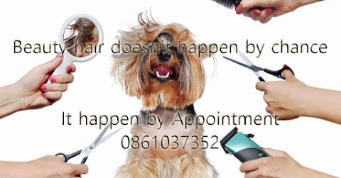 Beauty-Fur DogGrooming