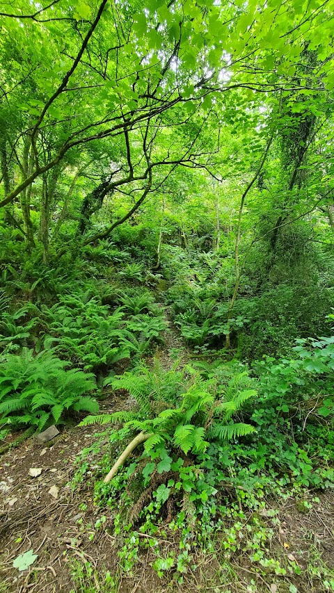 Quarry Garden