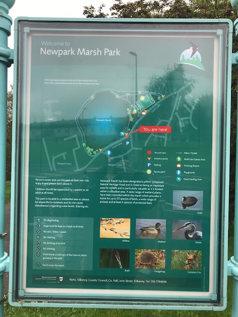 Newpark Marsh Park