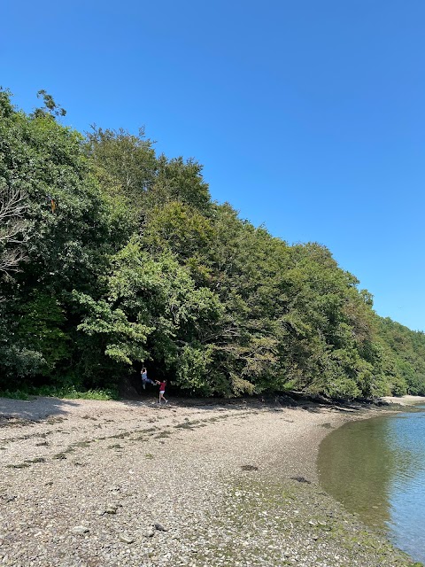 Marlogue Woods Forest Recreational Area