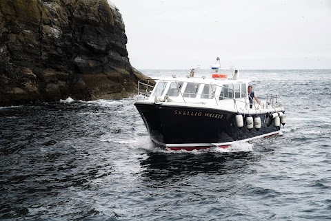 Skellig Walker Cruises