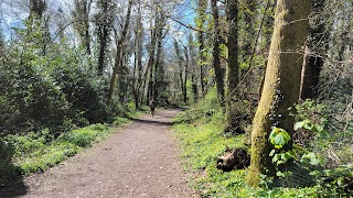 Marlogue Woods Forest Recreational Area