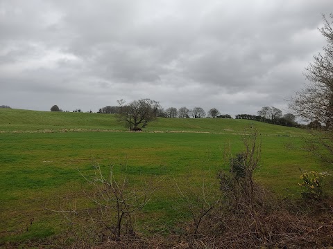 Old Rail Trail (Whitegates, Athlone)