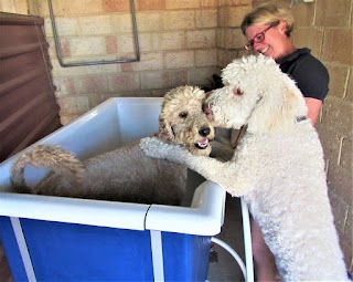 The Dog Hotel Boarding Kennels