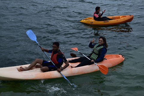 West Cork Sailing Centre / Wild Atlantic Wildlife / Kayak with the Seals