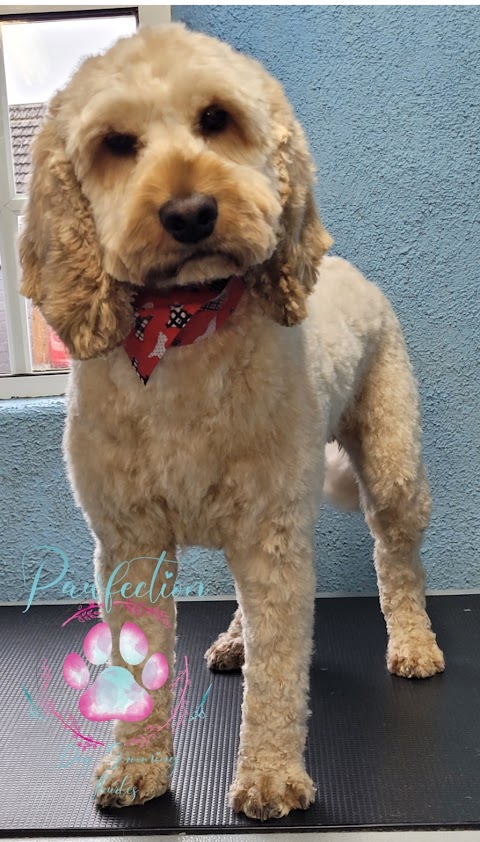 Pawfection Dog Grooming Thurles