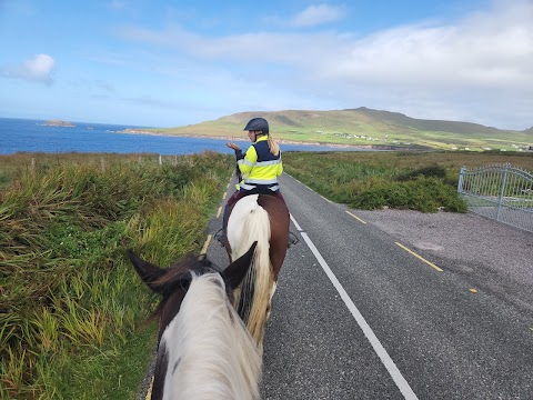 SEA VIEW EQUESTRIAN