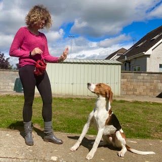 Finn & Paddy & Co Dog Training