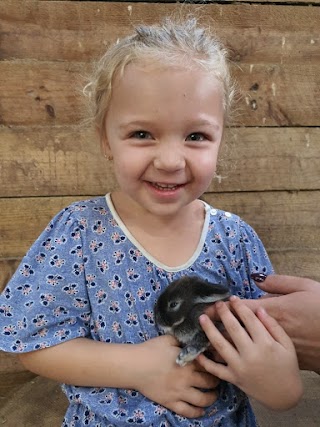 Golden Ridge Animal Farm, sydney