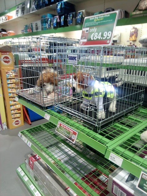 Maxi Zoo Longford