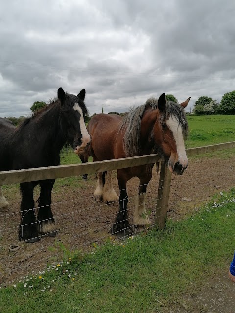 The Farm Grenagh