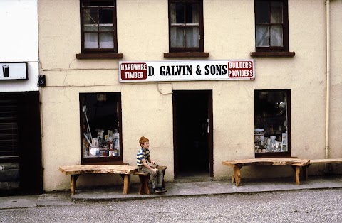 Dan Galvin & Sons