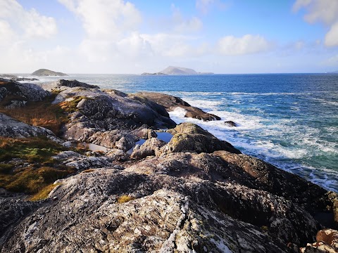 Wild Derrynane