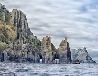 Blasket Island Sea Life Tours