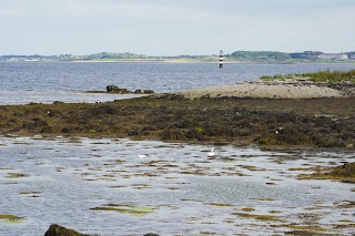 Mutton Island Causeway