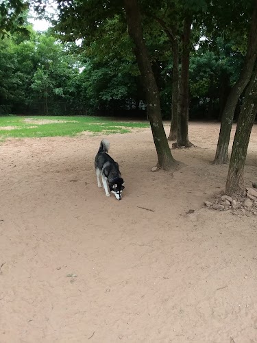 Chandon Dog Park