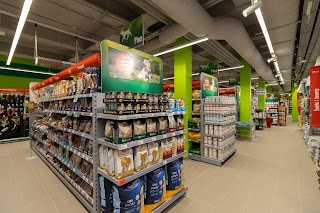 Maxi Zoo Auchan Bielany Wrocławskie