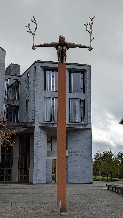 University of Limerick School of Medicine