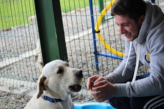 Clonlara Kennels and Cattery