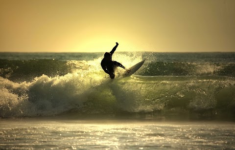 Aloha Surf School