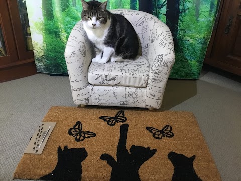 Furryture Store - Pet Furniture