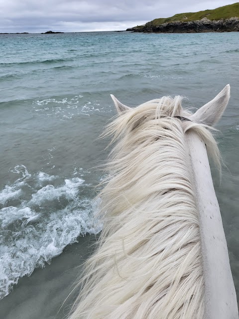 The Point Pony Trekking & Horse Riding Centre