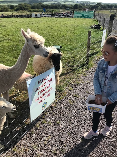 Dingle Pet Farm