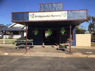 Bridgewater Nursery