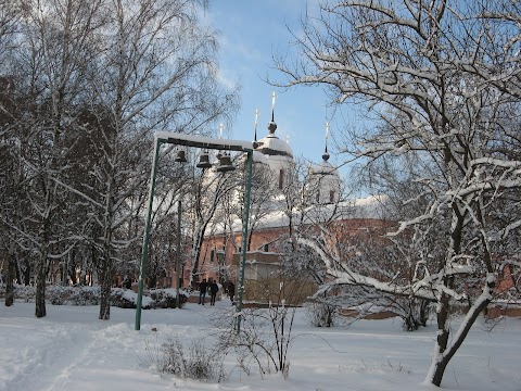 Благовіщенський собор (УПЦ)