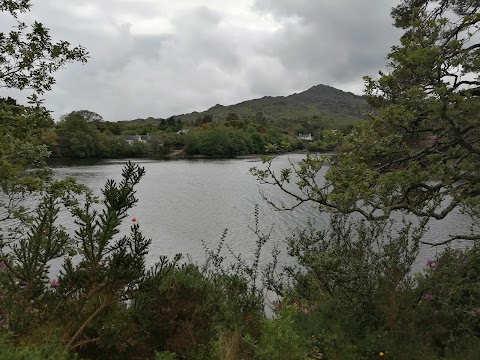 Glengarriff Woods Car Park(Carrchlós Coiltte Gleann Garbh)