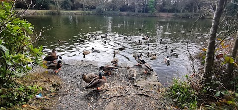 Brittas Lake