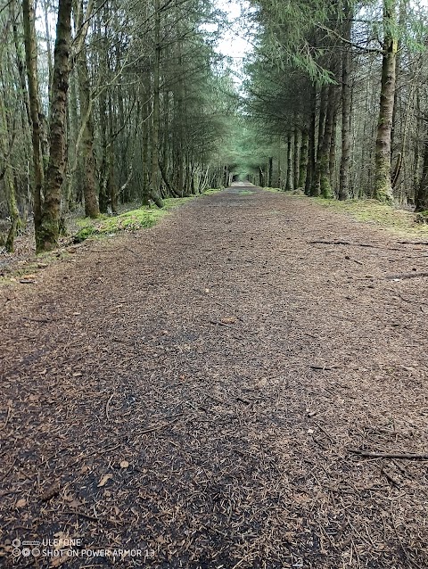 Derryounce Lakes and Walkways