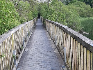 Dromore Woods Trailhead