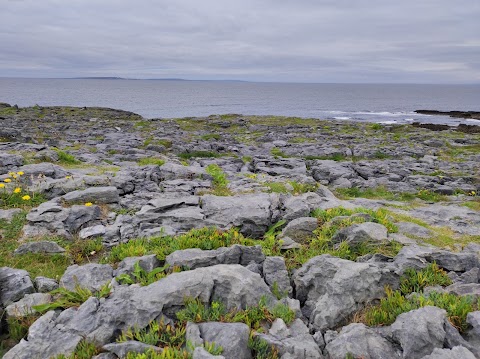 Burren Walk Parking Spot