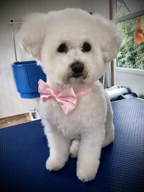 Pampered Pups Dog Grooming