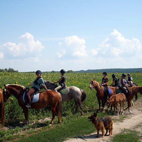 Кінний дитячий табір Like Horses Camp