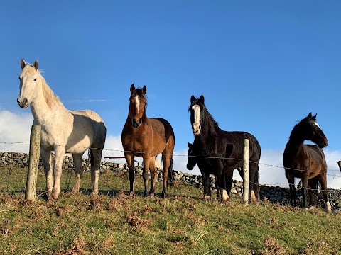 Island View Riding Stables