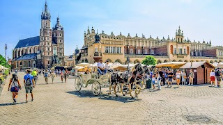 VISIT POLEN Krakau Touren & Ausflüge