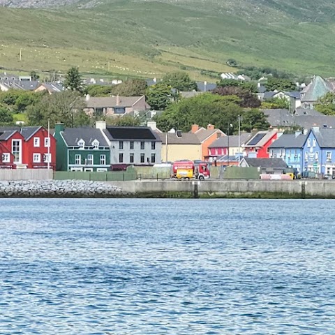 Dingle Boat Tours