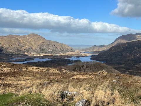 Wild Kerry Day Tours