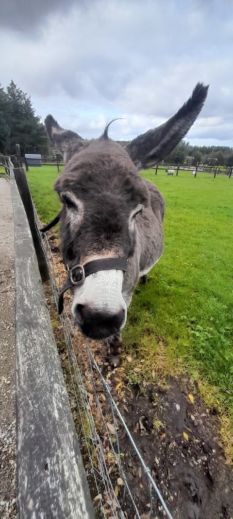 Loughwell Farm Park