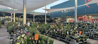 Bunnings Glendale