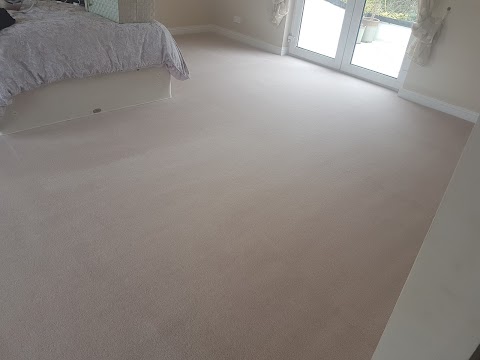 Xtreme Carpet Cleaning