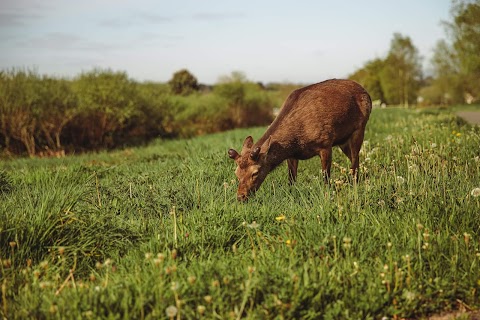 Clogheenmilcon Sanctuary Walk