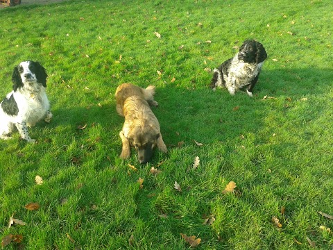 Johnduffswood Dog Boarding Kennels